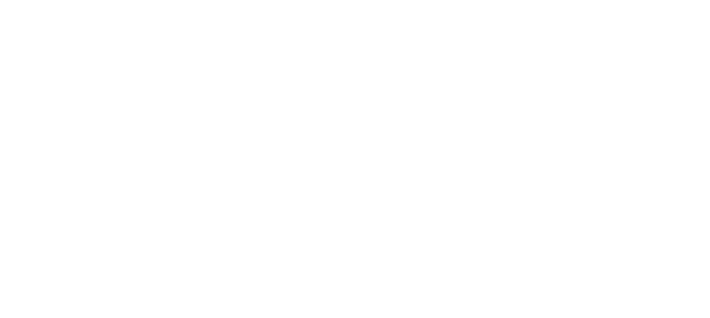 Suzuki Logo
